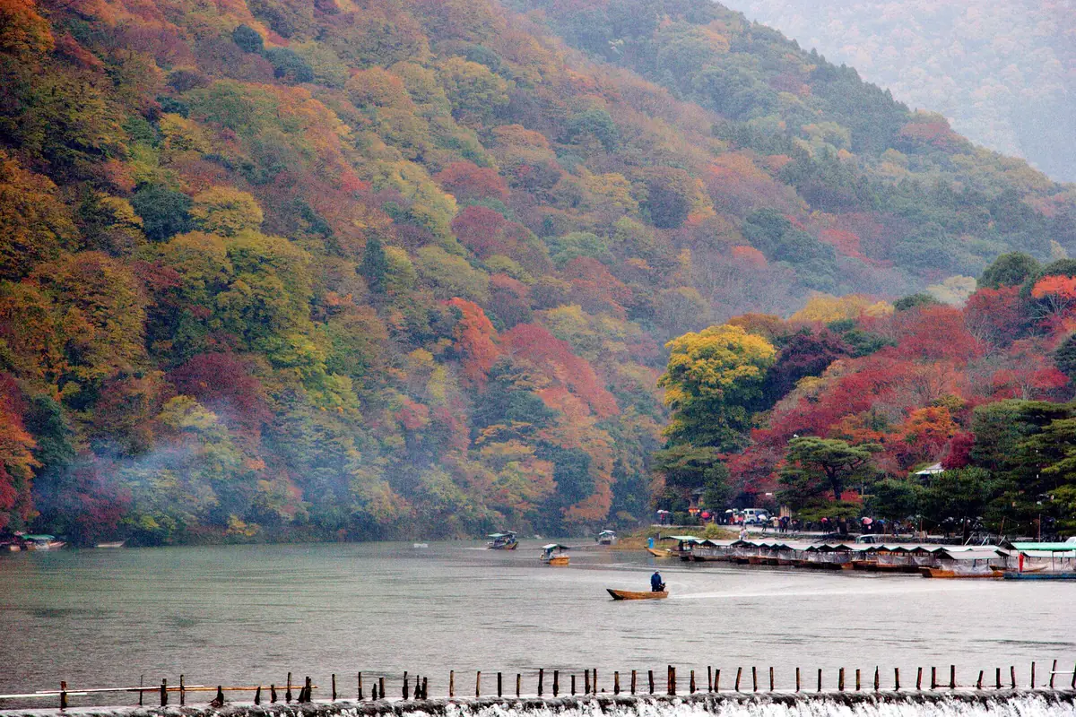 A timber ryokan building on the wooded bank of the Oi river at Arashiyama