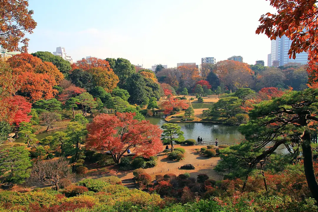 Rikugien
