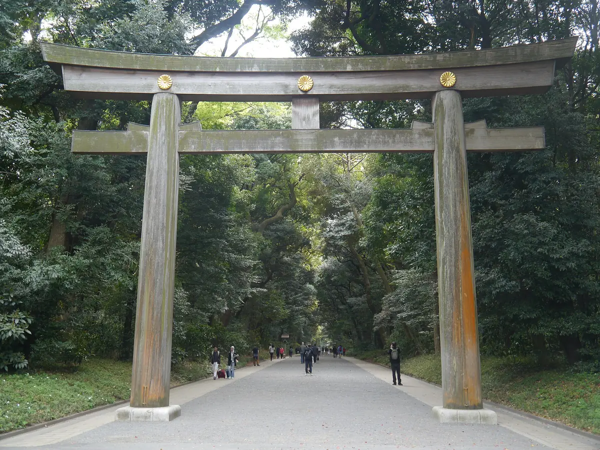 The great wooden torii on the forest approach to Meiji Jingu, Tokyo