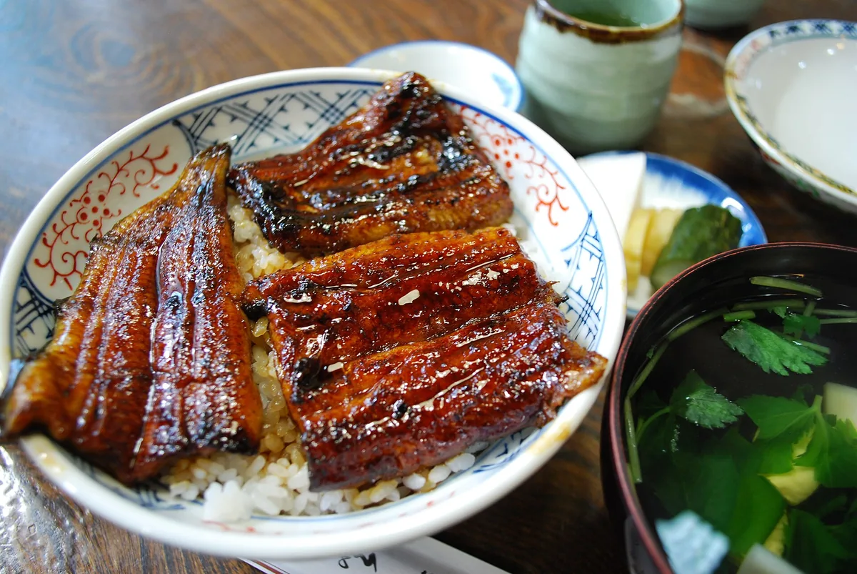 Glazed grilled eel fillets over rice in a lacquered box