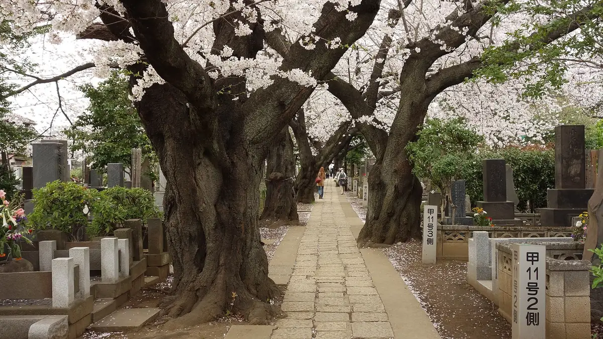 Stone steps down into a lane of low wooden houses in Yanaka